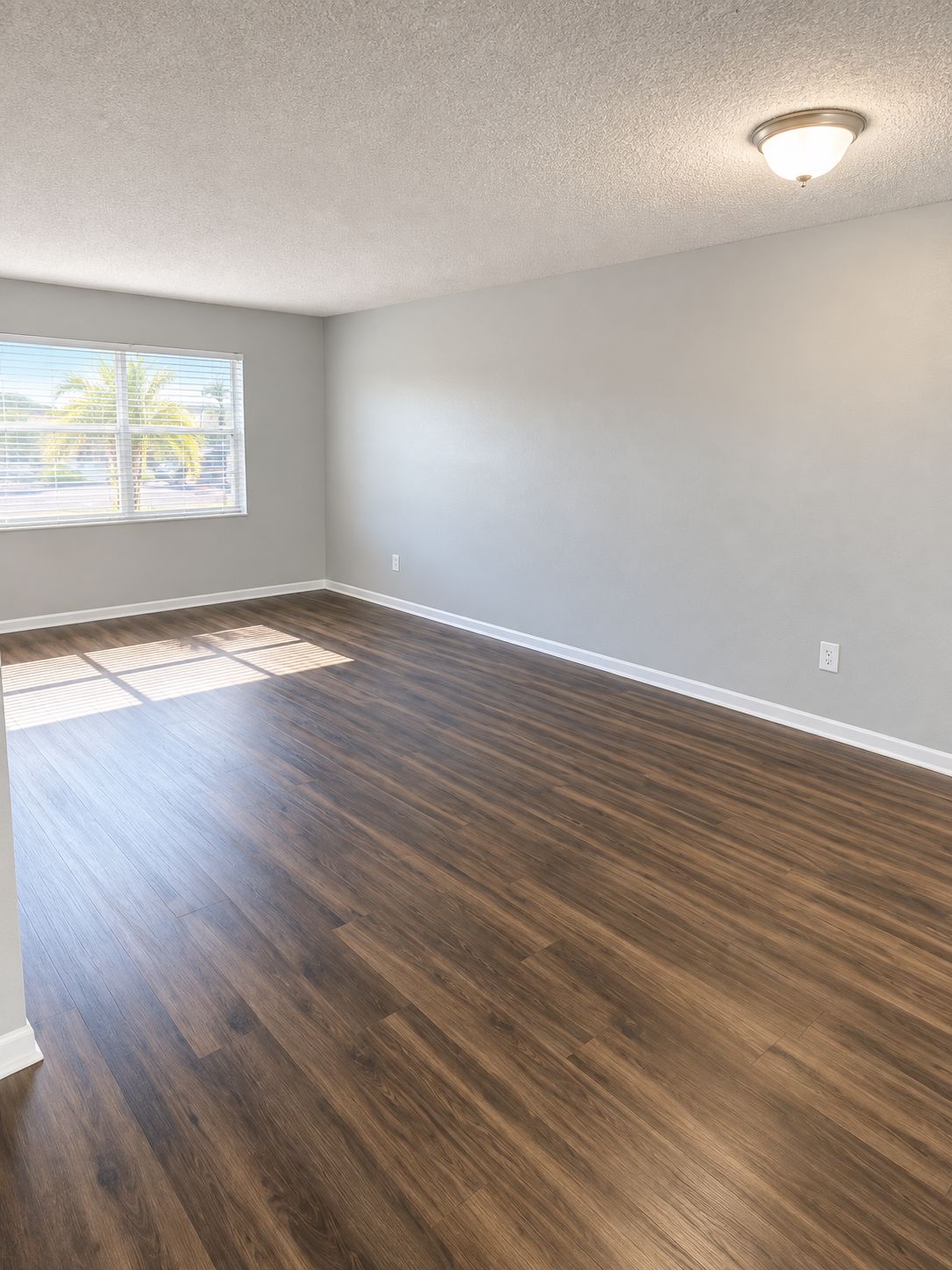 Living room with dark plank flooring
