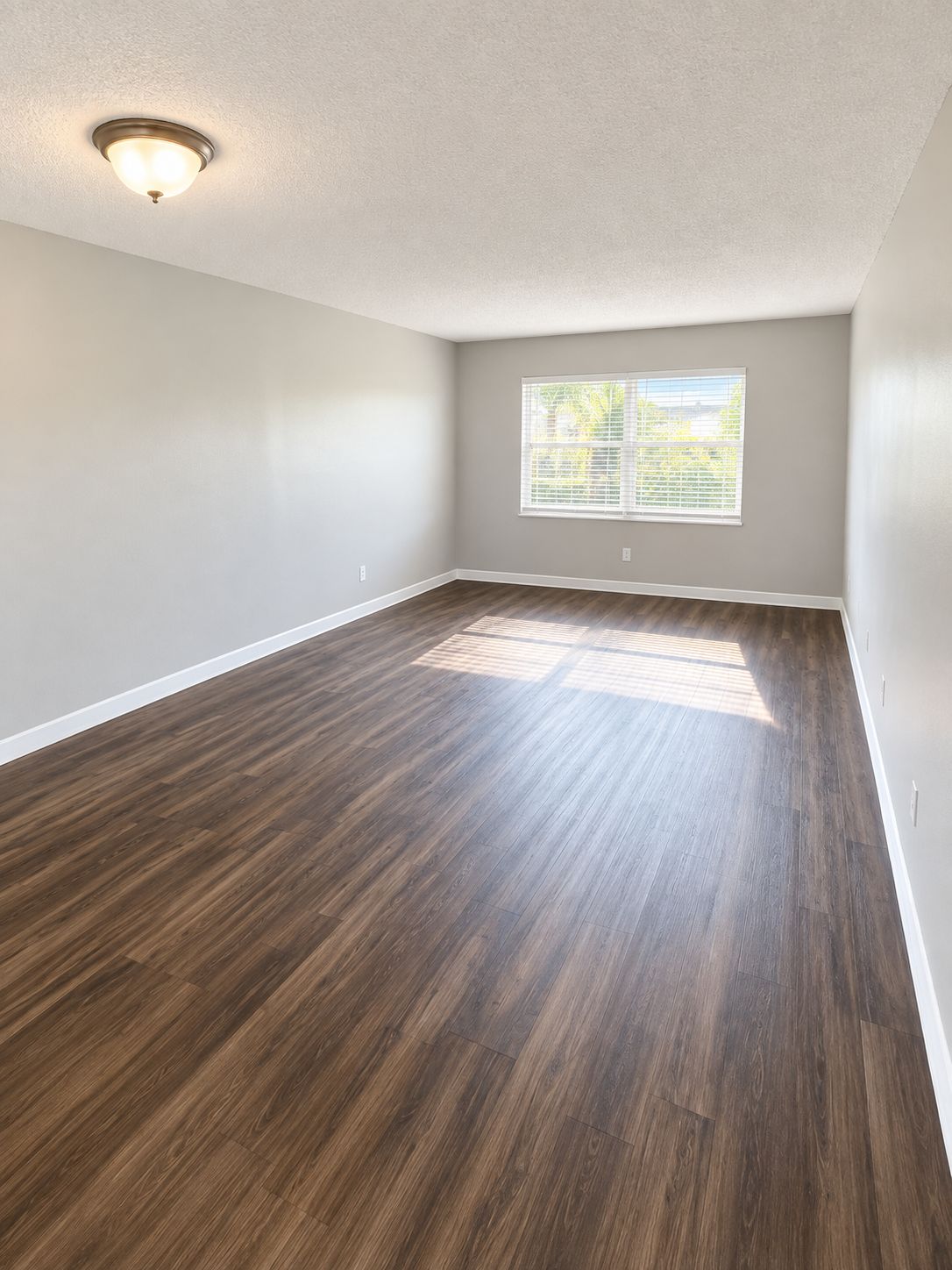Living room with dark plank flooring